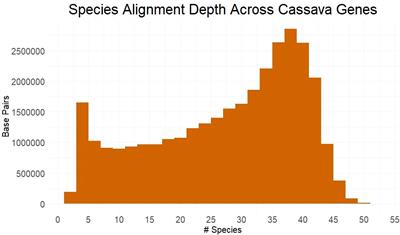 Utilizing evolutionary conservation to detect deleterious mutations and improve genomic prediction in cassava
